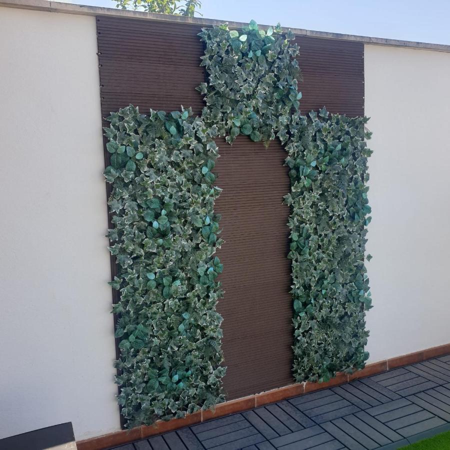 Espectacular Atico De 2 Dormitorios Con Garaje Y Terraza Privada De 30 M2 Albacete Exteriér fotografie